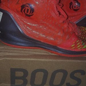Auto Derrick rose shoes signed by Derrick rose